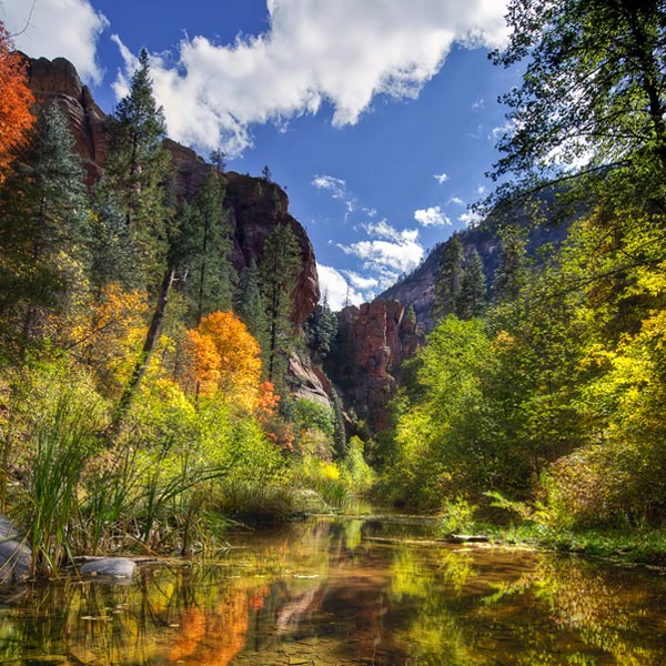 sedona fall color